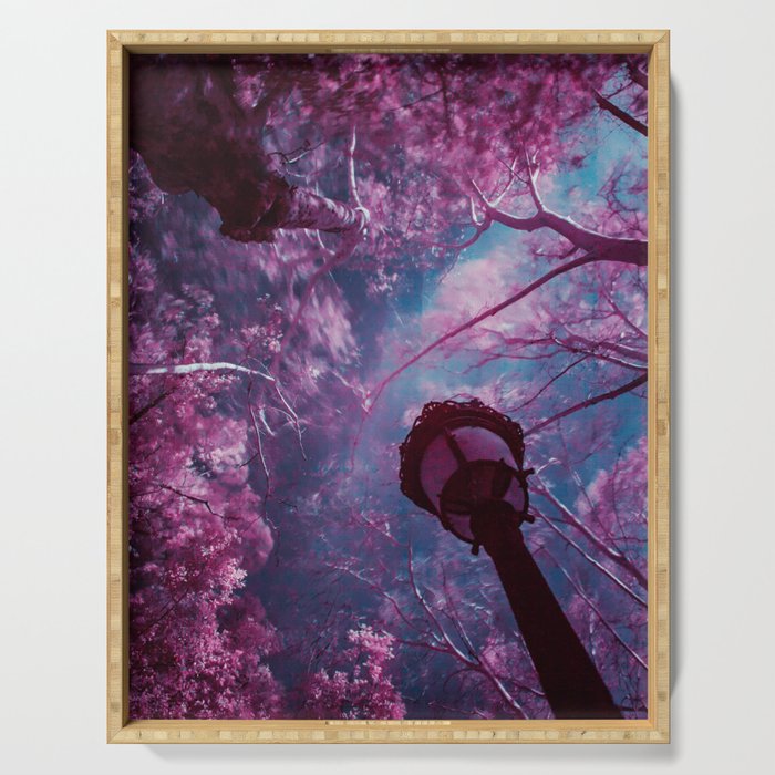 Fairy tale spring; cherry blossom tree canopy in the park at sunrise color magical realism portrait photograph / photography Serving Tray