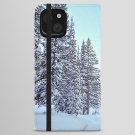 Path Through Snow Covered Trees iPhone Wallet Case