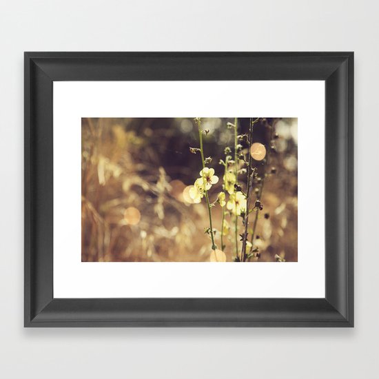 Summer Fields | 02 Framed Art Print