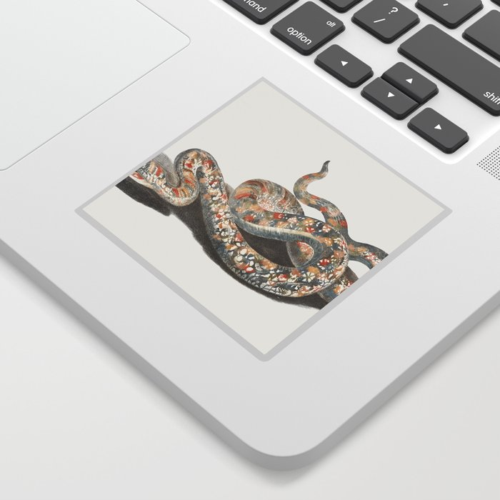 A Snake  Sticker