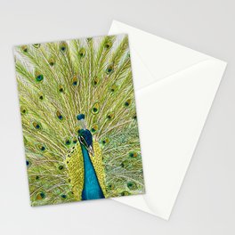 peacock Stationery Card