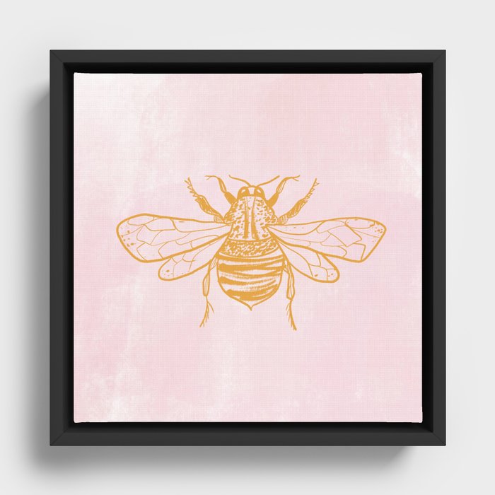 Framed Canvas