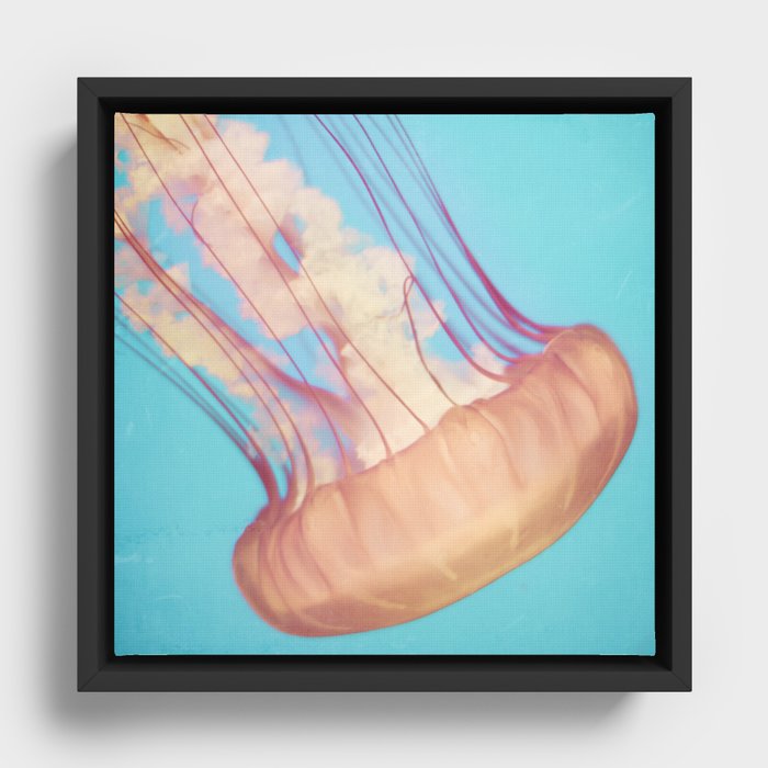 Jellyfish in Pastels Framed Canvas
