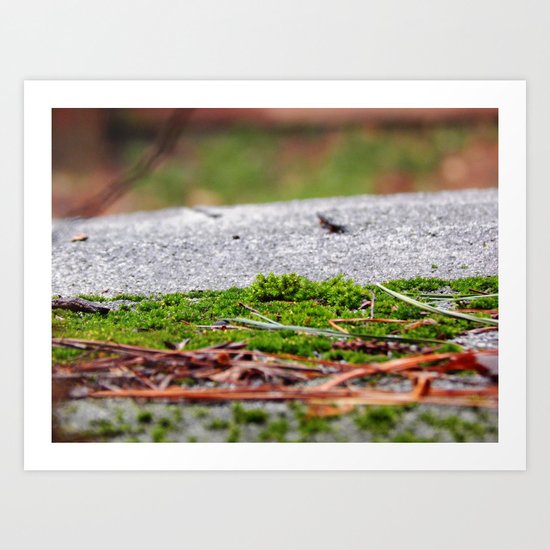 Up on the roof Art Print