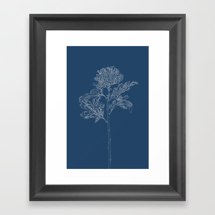 Chrysanthemum Blueprint Framed Art Print