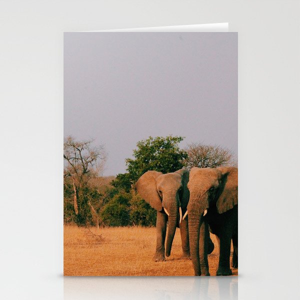 elephants during sunset Stationery Cards