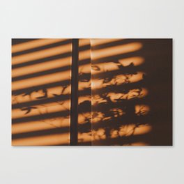 Morning Light (2021) Canvas Print