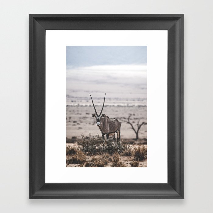 Gemsbok (Oryx) in the Namib Desert Framed Art Print