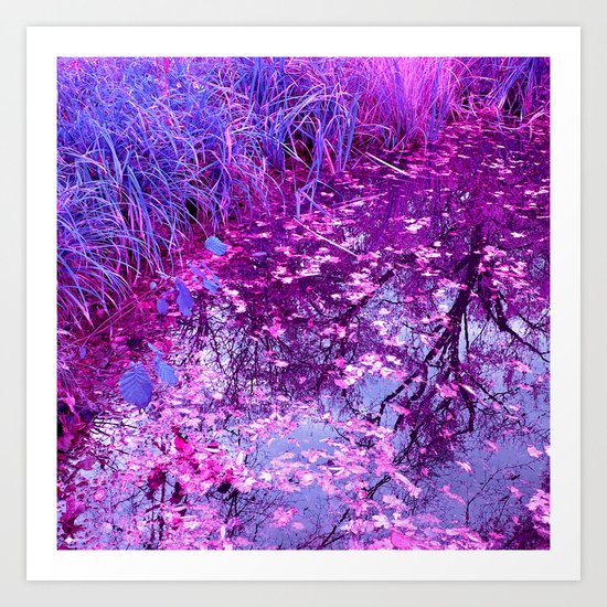 purple garden pond I Art Print