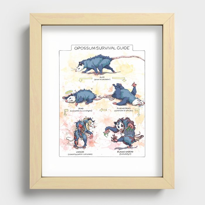 Opossum Survival Guide Recessed Framed Print