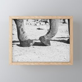 Elephant walking | Elephant feet | Elephant footsteps | Black and white elephant Framed Mini Art Print