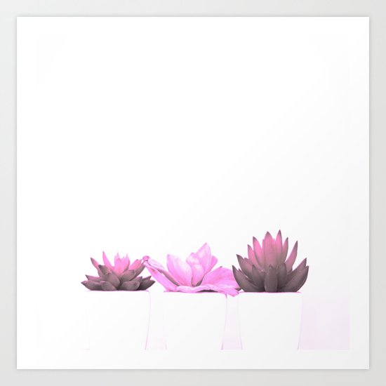 Pink Cactus Art Print