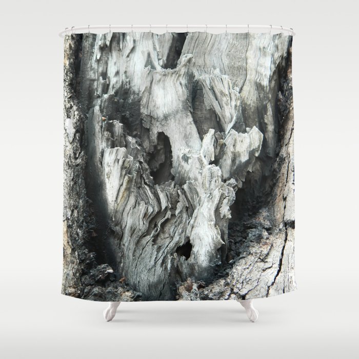 Black And White Old Tree Bark Texture Abstract Photo Shower