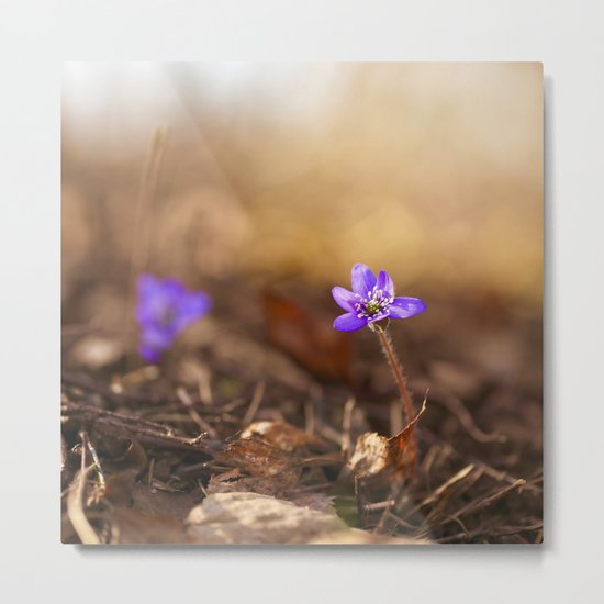 Come with me Metal Print