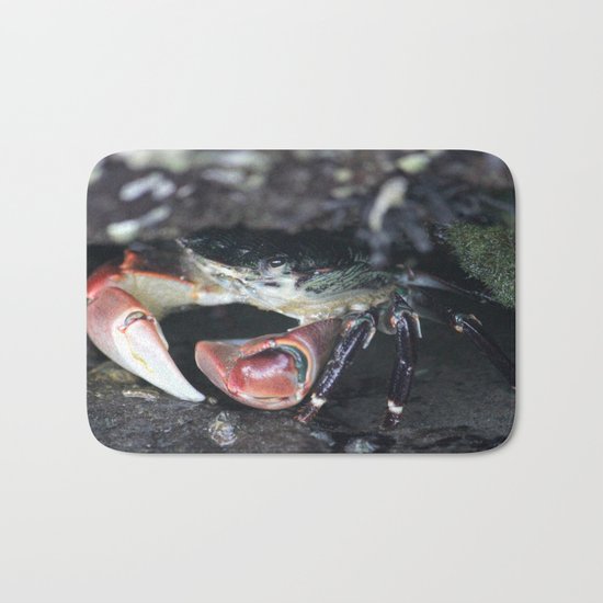 Hiding Bath Mat
