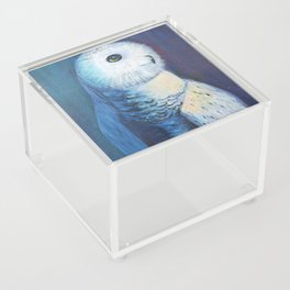 Ollie the Baby White Owl in Acrylic  Acrylic Box