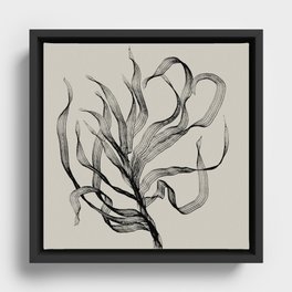 Seagrass Framed Canvas