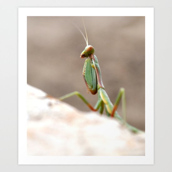 Amen Art Print