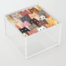 Cats Pattern Acrylic Box