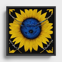 Sunflowers & Barbedwire Framed Canvas
