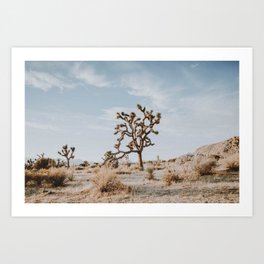 Joshua Tree II / California Desert Art Print