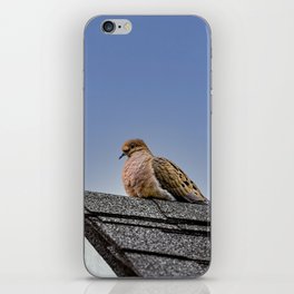Morning Dove Bird iPhone Skin