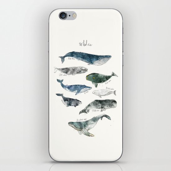 Whales iPhone & iPod Skin