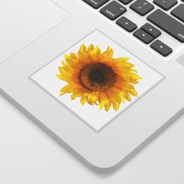 yellow sunflower Sticker