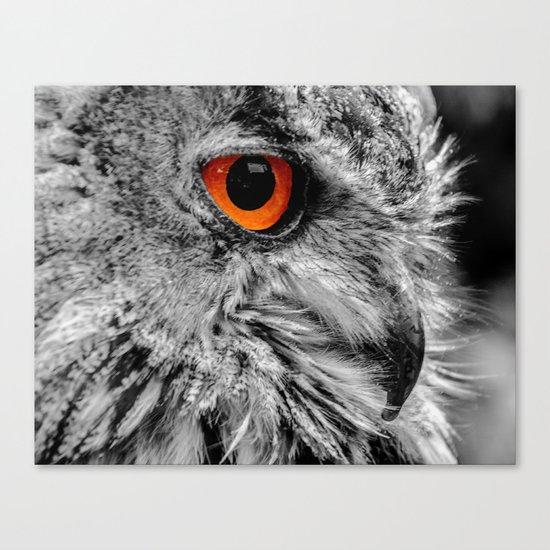 ORANGE OF MY EYE Canvas Print