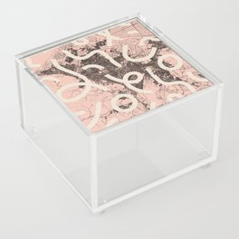 JAPAN - Sapporo City Map Acrylic Box