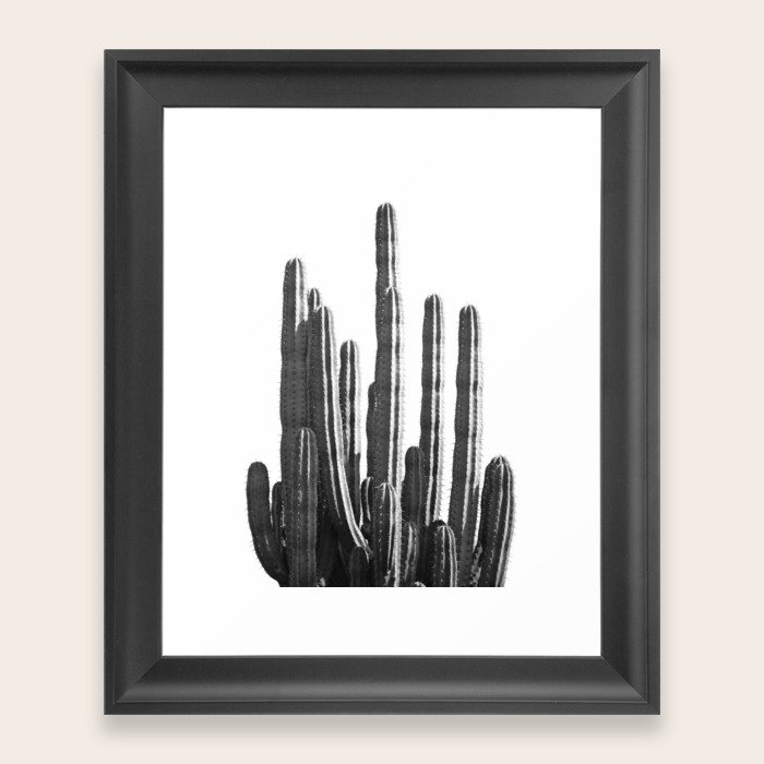 Black And White Cactus Framed Art Print By Summersunhomeart Society6