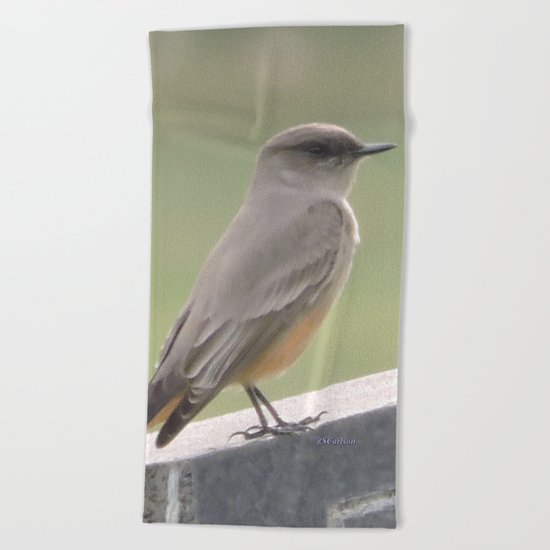 Catcher of the Fly Beach Towel