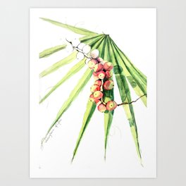 Palm tree: leaf and fruit Art Print