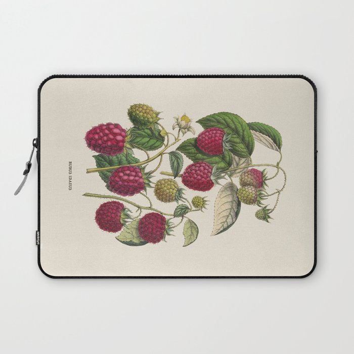 Purple Raspberry Antique Botanical Illustration Laptop Sleeve