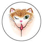The Vulva Gallery
