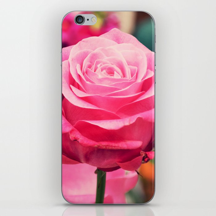 Elegant pink rose iPhone Skin