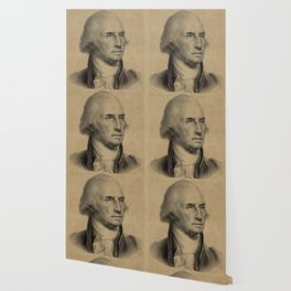George Washington Wallpaper For Any Decor Style Society6