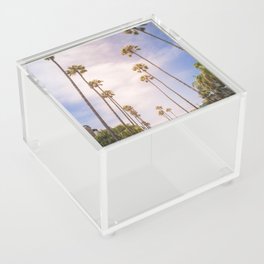 Santa Monica Palm trees Acrylic Box