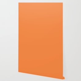 Mango Tango Orange Solid Color Popular Hues Patternless Shades of Orange - Hex Value #FB8842 Wallpaper