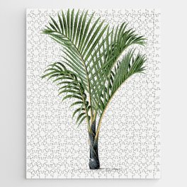 Vintage Botanical Print - Palm Trees illustration Jigsaw Puzzle