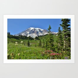 Mountain Wildflowers Landscape Art Print