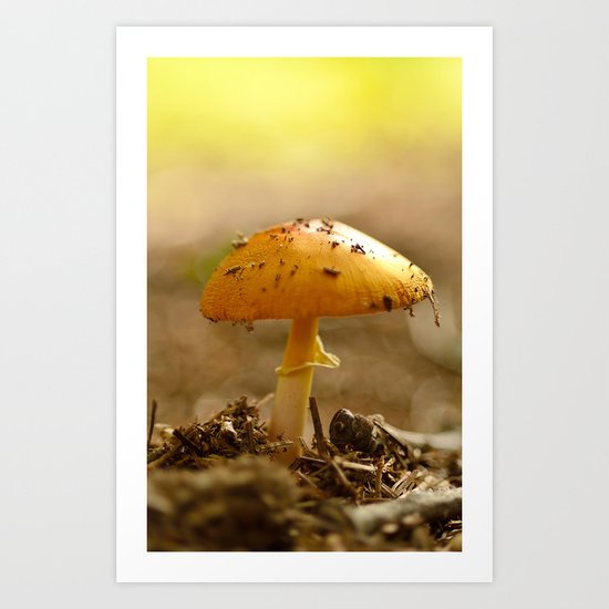 Sunbathing Art Print