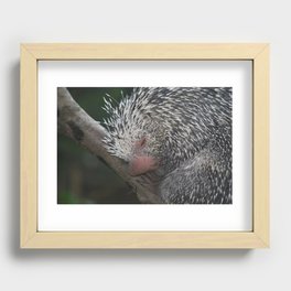 Quills Recessed Framed Print