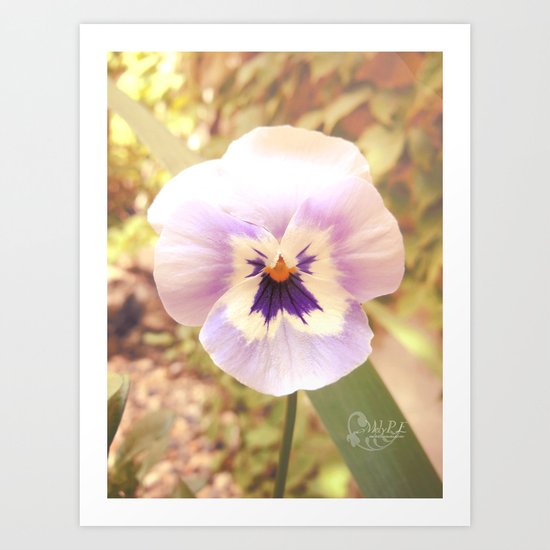 Dreamy light Art Print