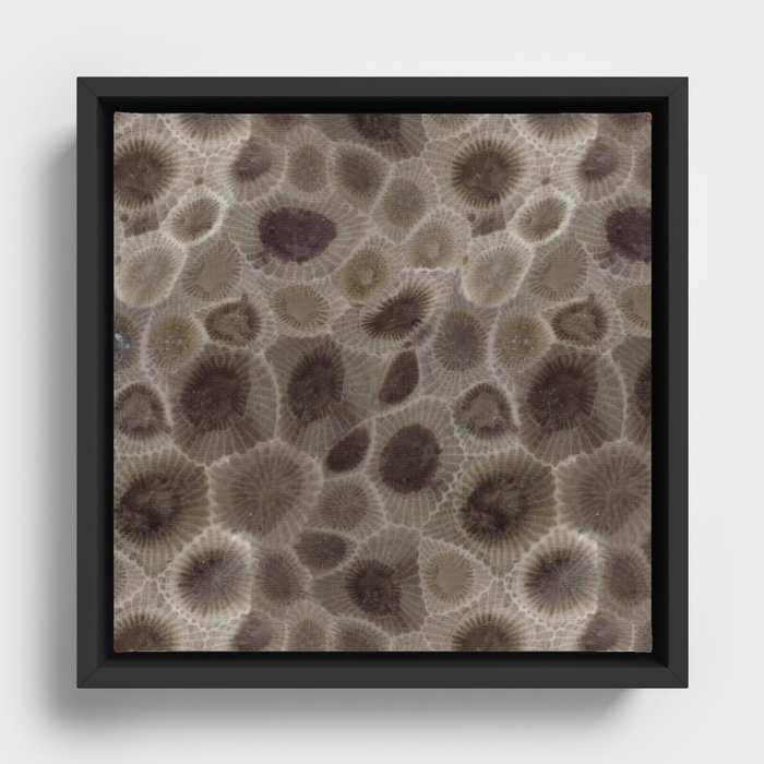 Framed Canvas
