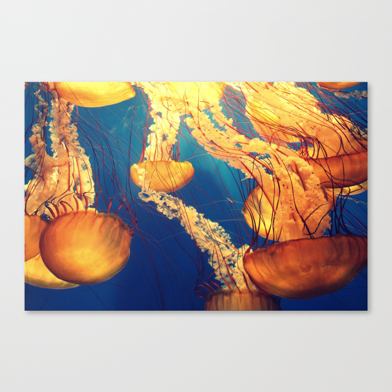 Jellyfish Canvas Print By Foxlou Society6