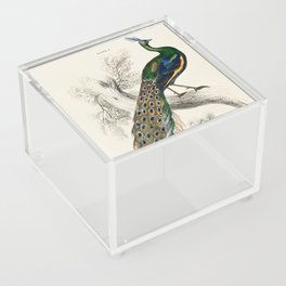 The Naturalist’s Library by Sir William Jardine (1836), a majestic male peafowl portrait Acrylic Box