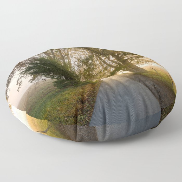 Daylight and Mist - Road with Warm Light in Great Smoky Mountains Floor Pillow