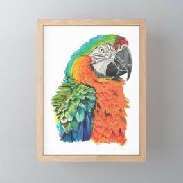 macaw parrot Framed Mini Art Print