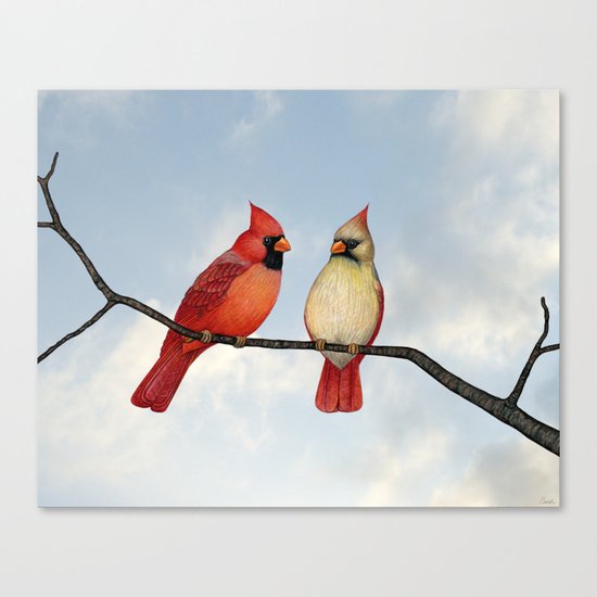 cardinal couple Canvas Print